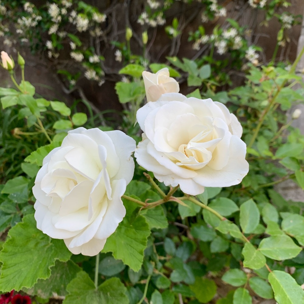 Meet your Posher, Qian